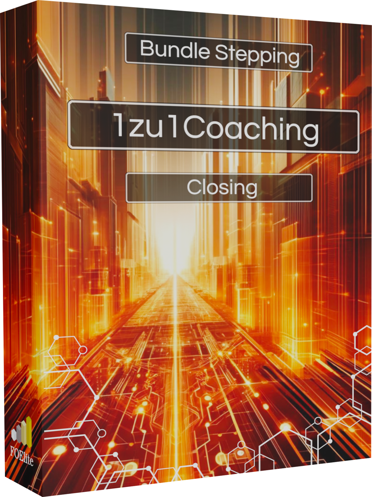 1zu1